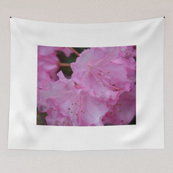 Item preview, AZALEAS designed and sold by kazaroodie.