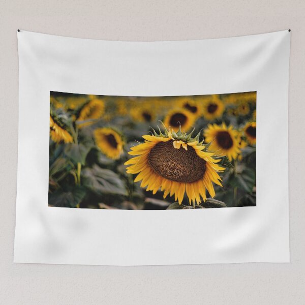 Item preview, Sunflower designed and sold by Kutay Photography.