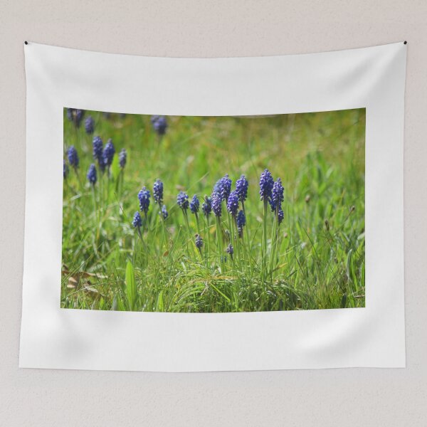 Item preview, Grape Hyacinth designed and sold by Caroline Everett.