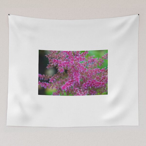 Item preview, False Goats Beard designed and sold by ADM  Photography.