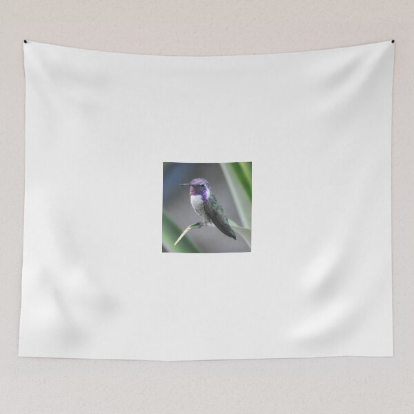 Item preview, PROUD WHITE EARED COSTA'S POSING designed and sold by JAYMILO.