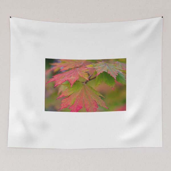 Item preview, The Change of the leaves designed and sold by ADM  Photography.