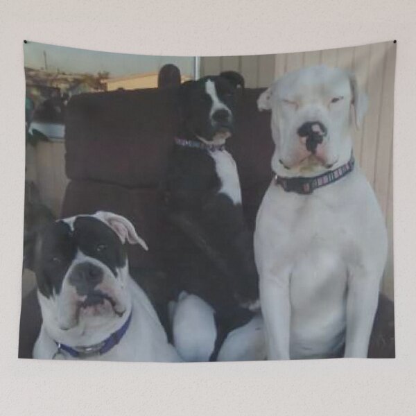 Item preview, the three females designed and sold by mcfisturanalcav.