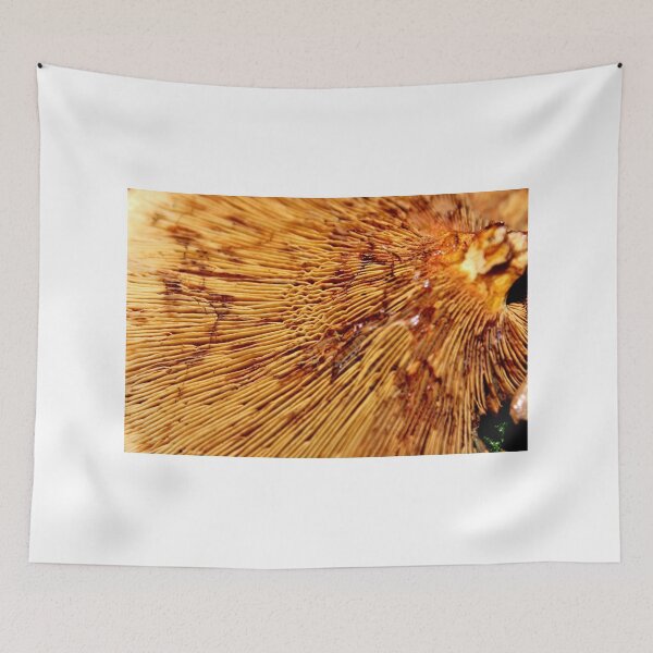 Item preview, Wrinkles in the Linework designed and sold by Kathleen Daley.
