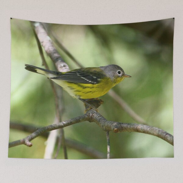 Item preview, Magnolia Warbler designed and sold by Enola Gay Wagner.