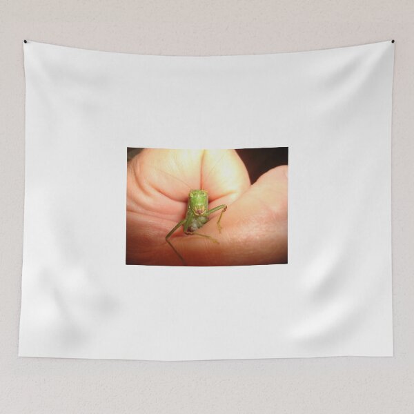 Item preview, Safe in my hand...a katydid designed and sold by May Lattanzio.