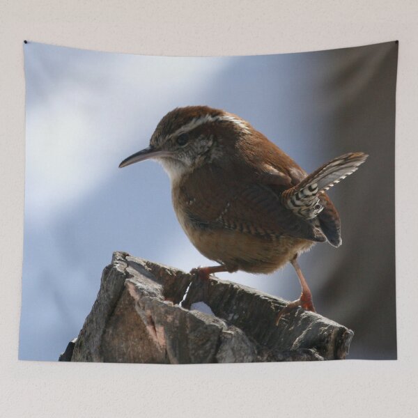 Item preview, Carolina Wren on stump designed and sold by Enola Gay Wagner.