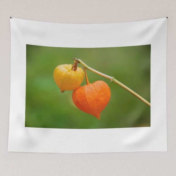 Item preview, Chinese Lanterns designed and sold by Dorset Girl.
