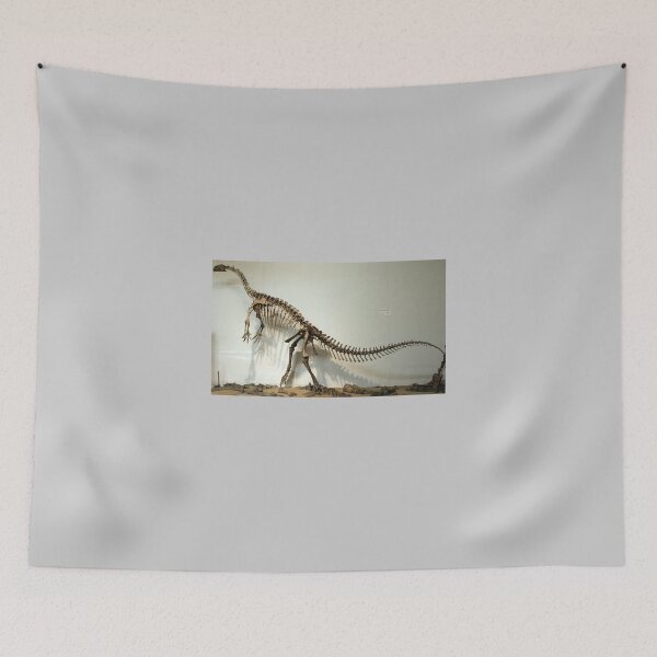 Item preview, Special Riojasaurus designed and sold by skeletonsrus.