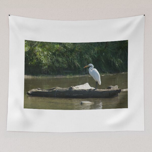 Item preview, Great White Egret designed and sold by EugeJ.