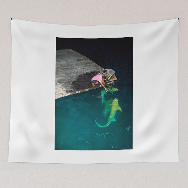 Item preview, Shark feeding in the Maldives - Black tip reef shark designed and sold by Bruno Beach.