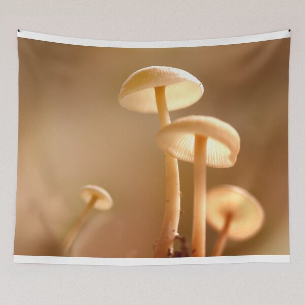 Item preview, new arrival designed and sold by lensbaby.