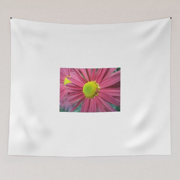 Item preview, pink daisy designed and sold by paolo amiotti.