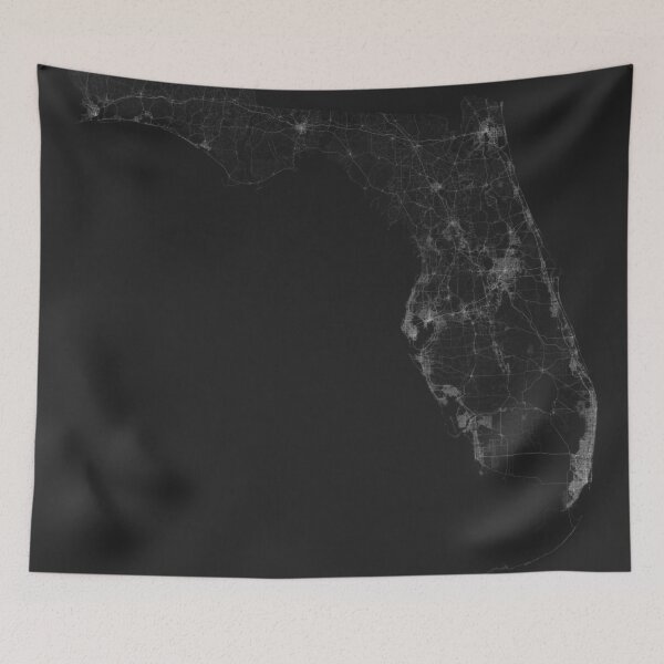 Aperçu de l'œuvre Roads of Florida. (White on black) créée et vendue par Graphical-Maps.