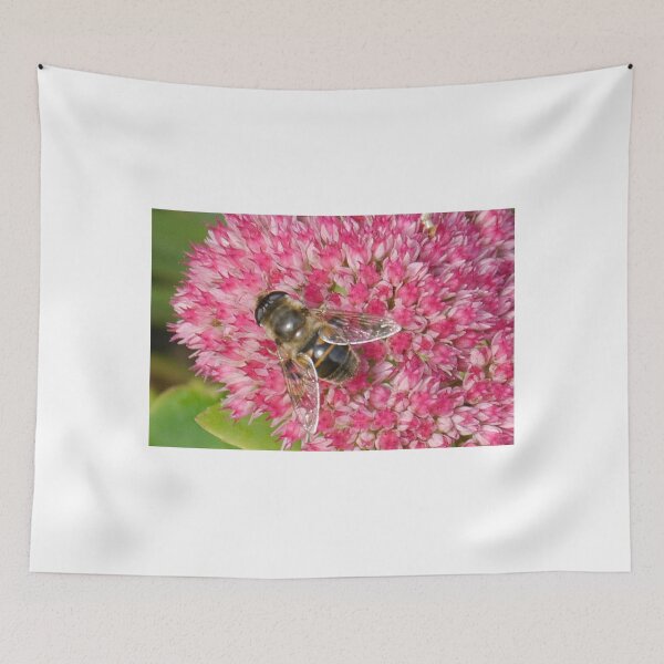 Item preview, Hover fly in Pink ......... designed and sold by lynn carter.
