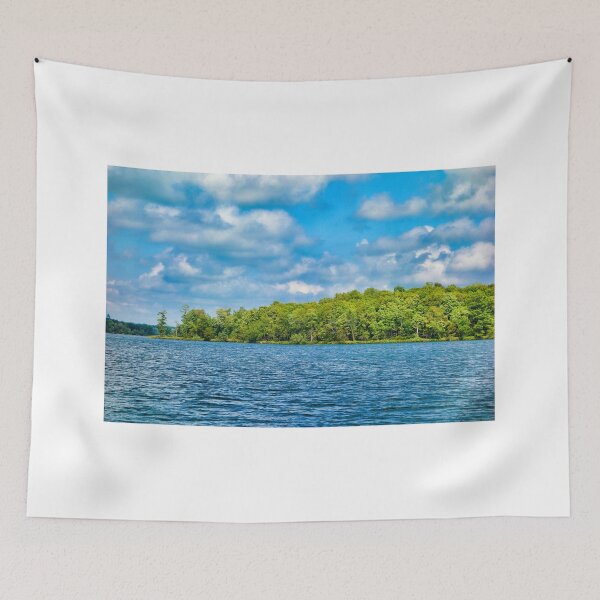 Item preview, Bay Lake Study 2  designed and sold by Robert Meyers-Lussier.
