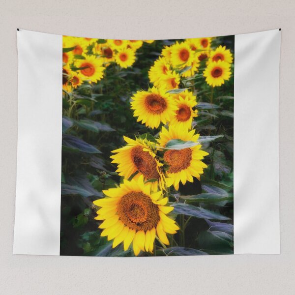 Aperçu de l'œuvre Sunflower Row créée et vendue par KellyHeaton.