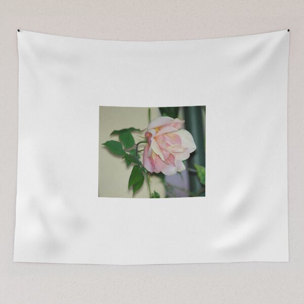 Aperçu de l'œuvre Delicate Rose créée et vendue par imaginethis.