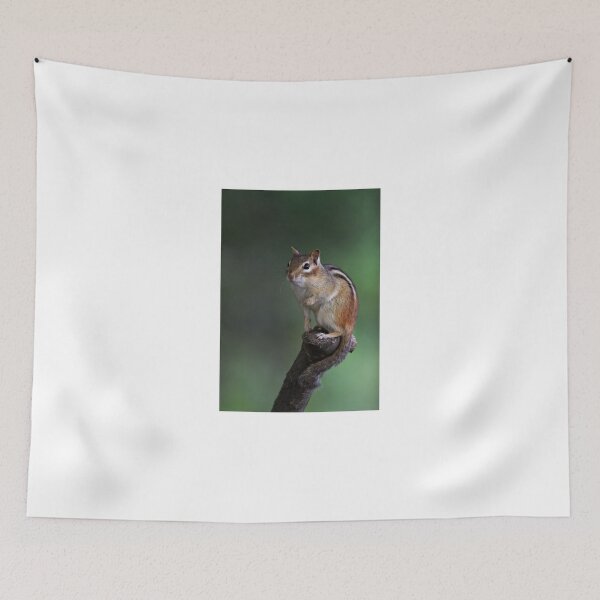 Item preview, Poser - Chipmunk designed and sold by James Cumming.
