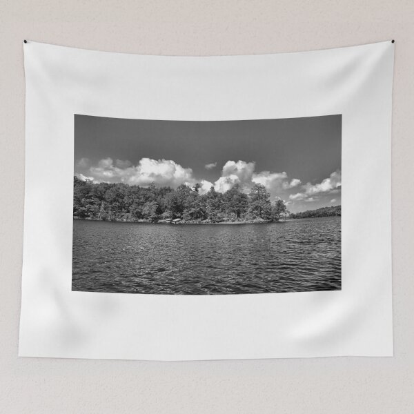 Item preview, Bay Lake Study 4  designed and sold by Robert Meyers-Lussier.