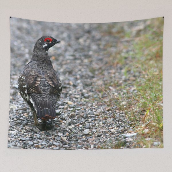 Item preview, Maine Spruce Grouse 20 designed and sold by Enola Gay Wagner.