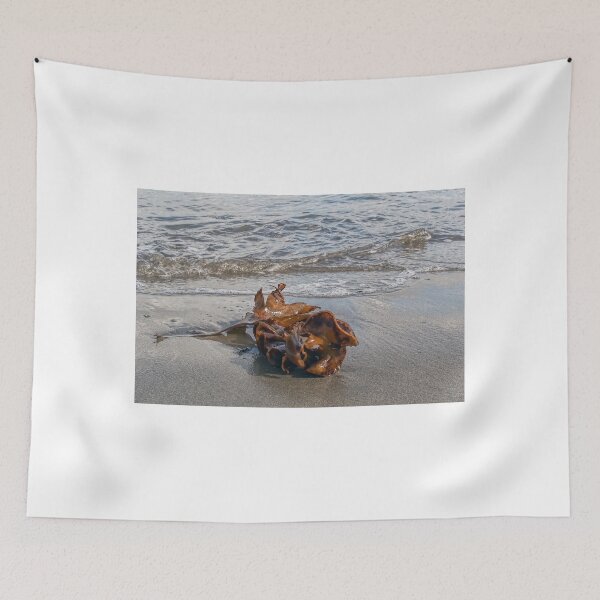 Item preview, Seaweed designed and sold by Dorset Girl.
