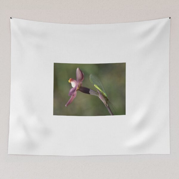 Item preview, Just Resting designed and sold by Ben Loveday.
