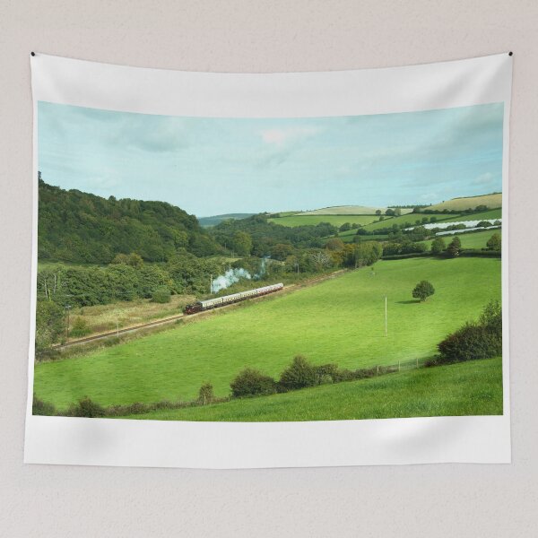 Item preview, Dart Valley Steam  designed and sold by hawkie.