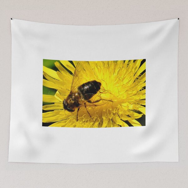 Item preview, Hoverfly on Dandy ........... designed and sold by lynn carter.