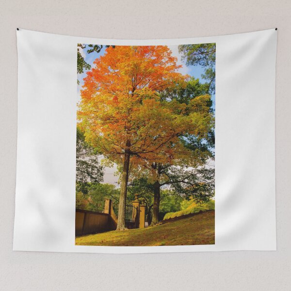 Item preview, Autumn, welcome ! designed and sold by LudaNayvelt.