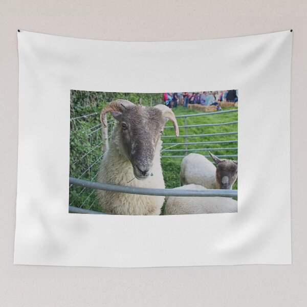 Item preview, Posing For The Camera designed and sold by Dorset Girl.