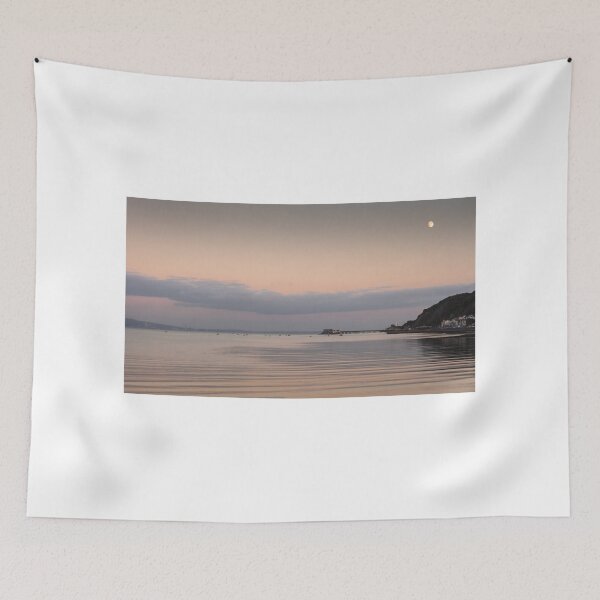 Item preview, Swansea Bay by moonlight designed and sold by Leighton Collins.