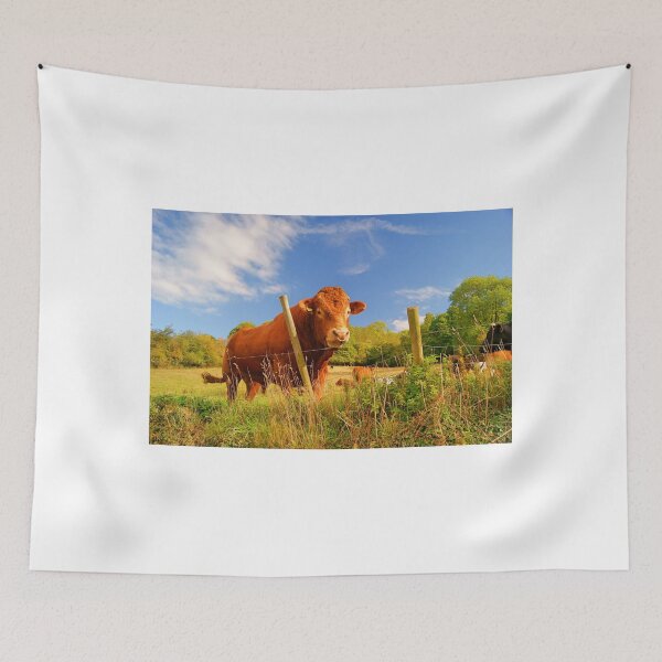 Item preview, Big, Bad, Bradfield Bull designed and sold by brimel55.