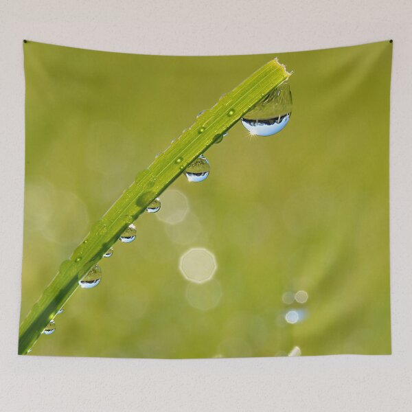 Item preview, Hanging Dew designed and sold by relayer51.