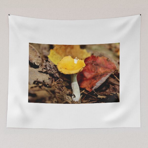 Item preview, Yellow Cap & White Stalkings designed and sold by Kathleen Daley.