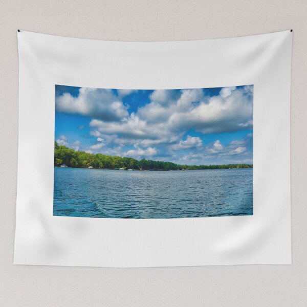 Item preview, Bay Lake Study 1  designed and sold by Robert Meyers-Lussier.