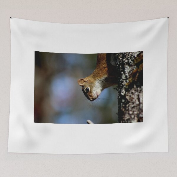 Item preview, Just Hanging Around the Neighbourhood designed and sold by Kathleen Daley.