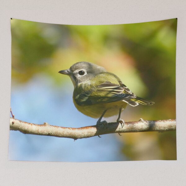 Item preview, Blue-headed Vireo  designed and sold by Enola Gay Wagner.