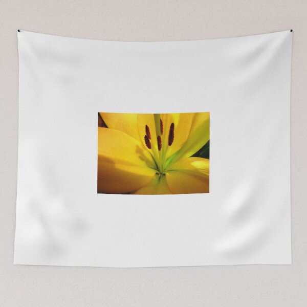 Item preview, Beautiful Golden Asiatic Lily in Close-up designed and sold by EdsMum.