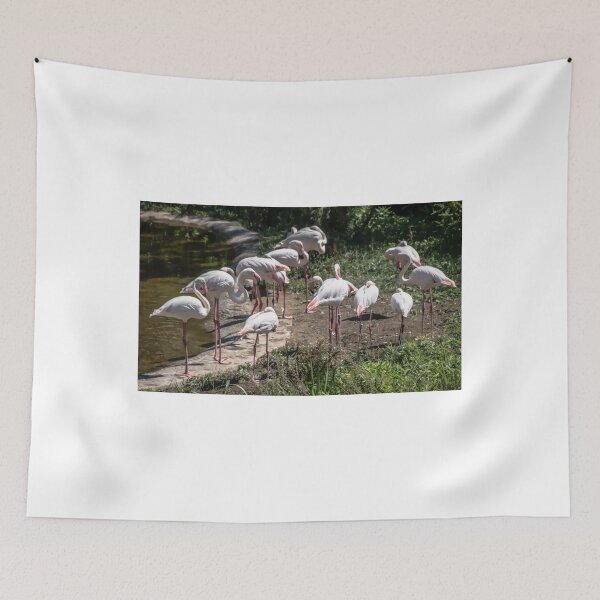 Item preview, Pink Flamingoes designed and sold by Cathy Donohoue.