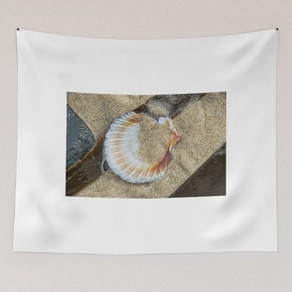 Item preview, Scallop Shell 2 designed and sold by Dorset Girl.