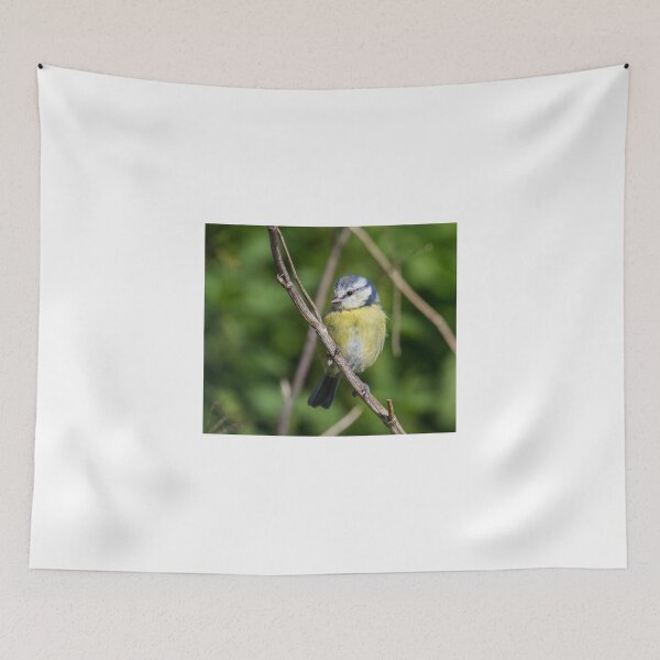 Artikelvorschau, Blue Tit Pose.. entworfen und verkauft von LaurenTucker.