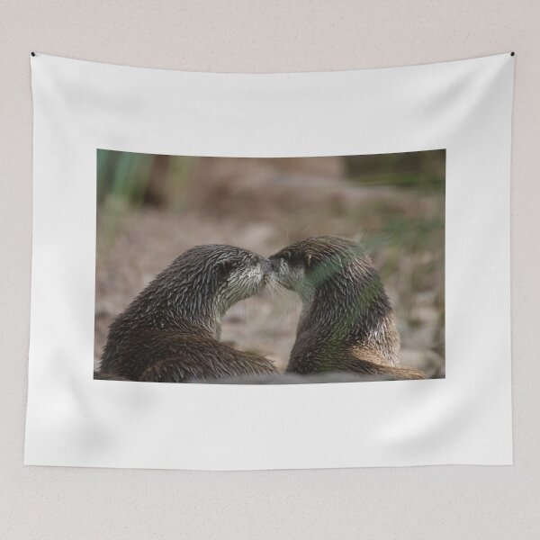 Item preview, Kissing Otters designed and sold by Stuart Daddow Photography.