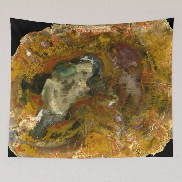 Item preview, Petrified Wood designed and sold by marco campos venuti.