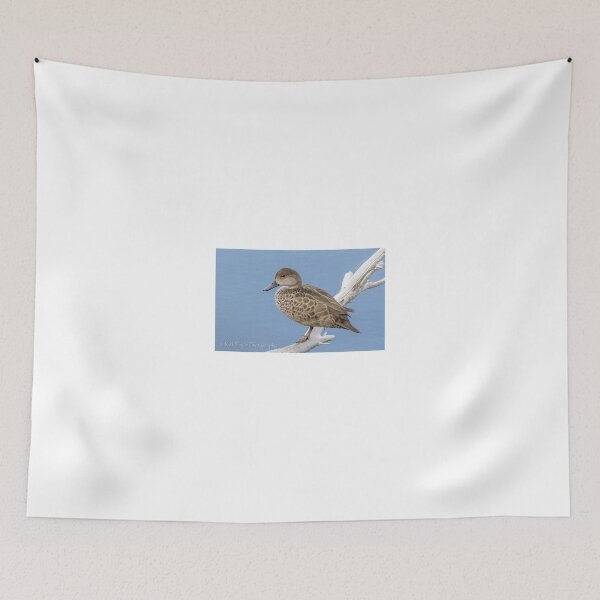 Item preview, Resting Ducky designed and sold by Rick Playle.