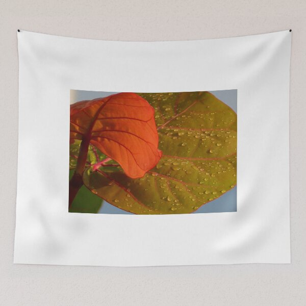 Item preview, tropical plants - plantas tropicales designed and sold by Bernhard Matejka.