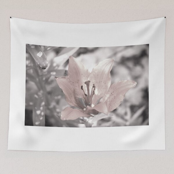 Item preview, Asiatic Lily designed and sold by ADM  Photography.