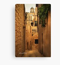 Mdina (2) Canvas Print