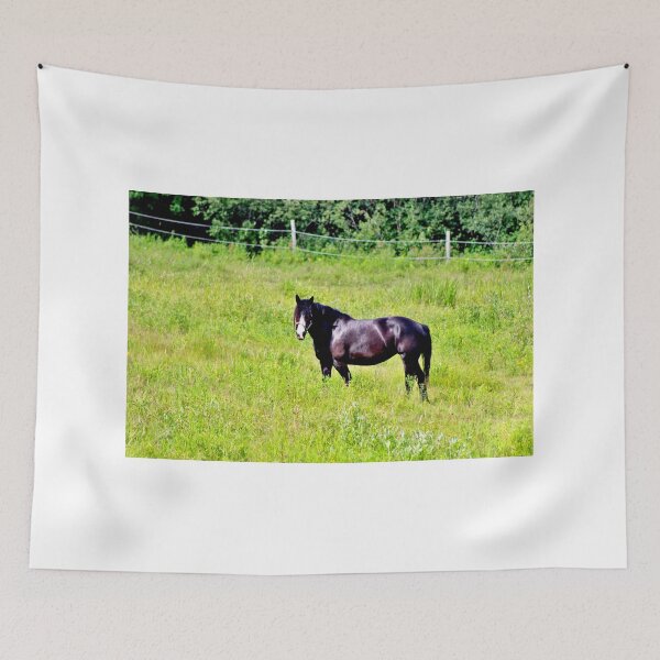 Item preview, Black on Green designed and sold by Kathleen Daley.
