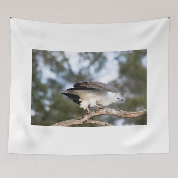 Item preview, Ready To Fly designed and sold by byronbackyard.